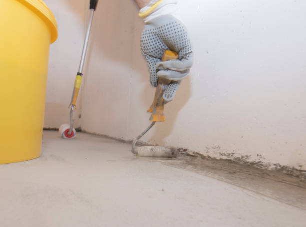 Best Pest Prevention Services  in Barnsdall, OK